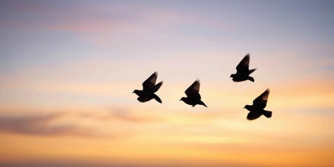 Obraz premium A captivating silhouette of birds flying against a sunset horizon, symbolizing freedom, movement, and the beauty of nature's transitions during twilight.
