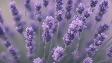 Obraz premium Close up of a bunch of lavender flowers generative Ai