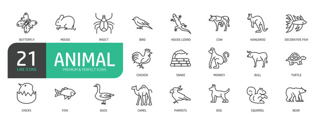 Set Of Animal Line Icons. The set includes a Butterfly, Mouse, Insect, Bird, Kangaroo, Fish, Chicken, Duck, Bear, Camel, Monkey, and more.