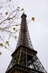 Eiffel Tower viewed from below with bare branches and autumn leaves in foreground on overcast winter day