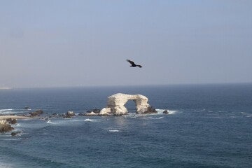 antofagasta postal