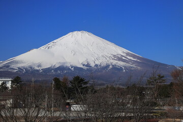 公園からの富士山
