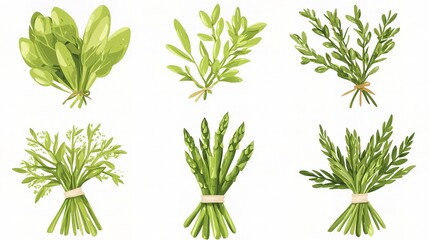 Fresh Bunch of Vibrant Asparagus Isolated on White Background