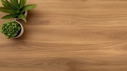 A wooden surface with two potted plants, creating a serene and natural workspace atmosphere.