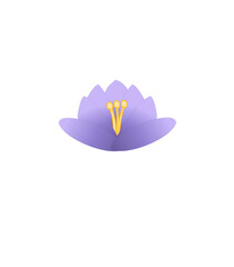 Lotus Shaped Crocus and Crown Chakra
