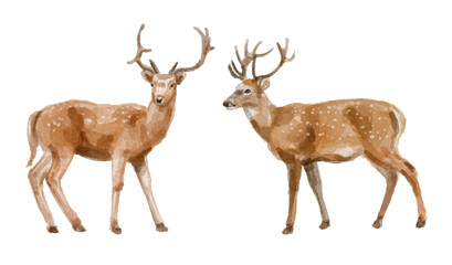 Watercolor set of deer for logo, invitations and more