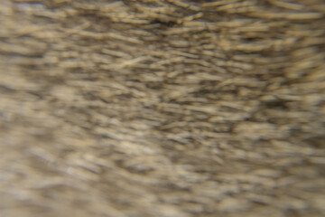 Close-Up of a Rough Straw-Like Texture