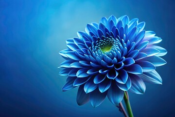 Dark Blue Flower Screen Saver, Blue Floral Wallpaper, Deep Blue Bloom Background, Computer Monitor Screensaver, Digital Art