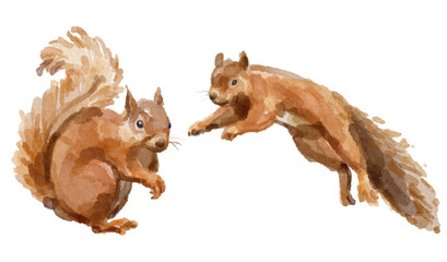 Watercolor set of squirrel for logo, invitations and more © Yorda