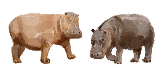 Watercolor set of hippopotamus for logo, invitations and more