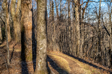 blue ridge mountains