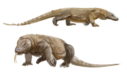 Watercolor set of komodo dragon for logo, invitations and more