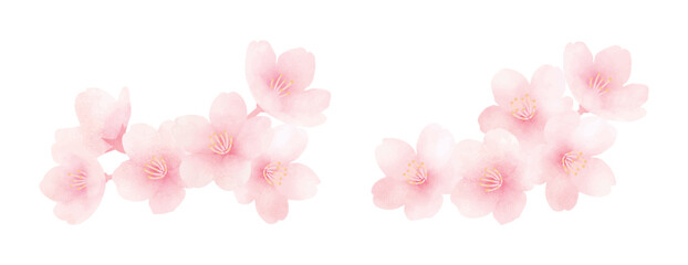 Cherry blossoms in full bloom. Cute hand painted spring flower set. Watercolor illustration.