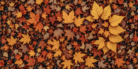 A large pile of autumn leaves on the ground. The leaves are orange and brown, and they are scattered all over the ground. The image has a peaceful and calming mood, as the leaves are falling gently