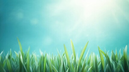 Lush Green Grass Under a Bright Sky with Sunlight Glimmering in a Soft Blue Atmosphere, Perfect for Nature Themes and Freshness Concepts