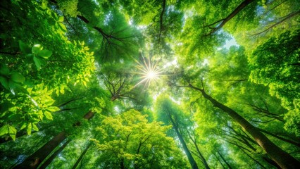 Drone captures lush summer forest canopy, vibrant green leaves blurred bokeh.