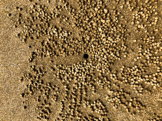 water drops on the beach