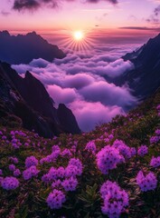 Sunrise over mountain peaks, purple flowers in foreground, sea of clouds.