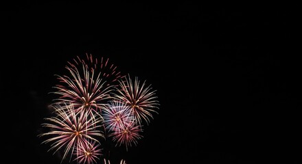 Fototapeta premium Fireworks Display Celebrating New Year City Park Photography Night Sky Aerial View Festive Atmosphere