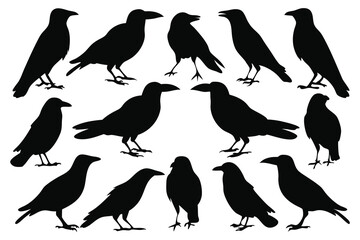 Crows silhouettes set isolated flat vector illustration on white background