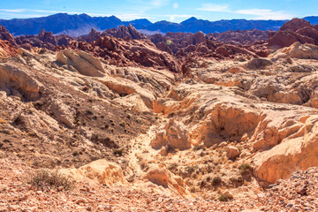 Fototapeta premium The Valley of Fire