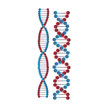 blue and red dna strands clip art preview