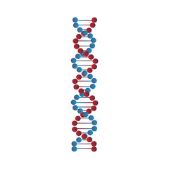 dna strand on white background