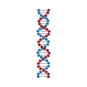 recommend clip art: dna strand on white background
