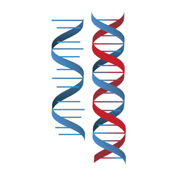 recommend clip art: illustration of dna and chromosome 