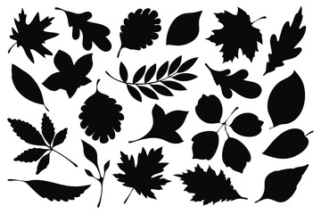 Leaves fall silhouettes set isolated flat vector illustration on white background
