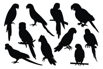 Parrots silhouettes set isolated flat vector illustration on white background
