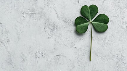 Single green clover leaf on textured light gray background