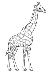 colouring_book_giraffe.eps