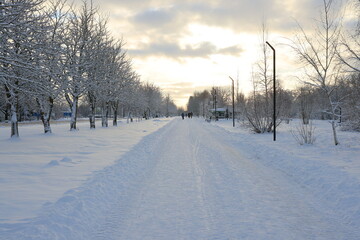 A Serene Winter Landscape Featuring a Peaceful SnowCovered Pathway and Majestic Trees