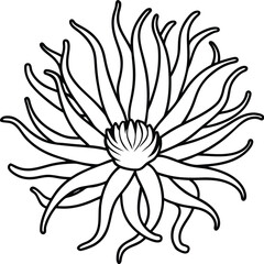 Intricate Sea Anemone Illustration Perfect for Coloring Pages