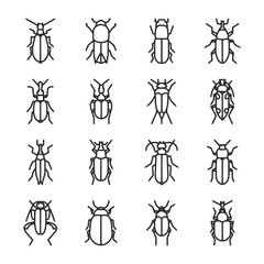 Fototapeta premium A series of black and white drawings of bugs