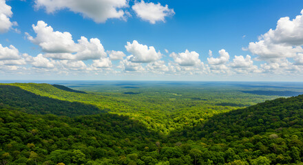 Obraz premium A lush green scenery set against the sky.
