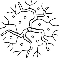 hand drawn cartoon top view of tree illustration.