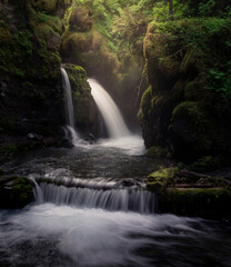 Fototapeta premium Virgin Creek waterfall in the forest in Girdwood, Alaska