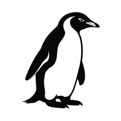 Naklejka premium Penguin Black color silhouette illustration