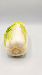 白菜・배추・Chinese cabbage・white rape・Brassica rapa 