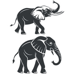 Elephant Animal Silhouettes art vector icon set design 