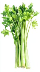 Watercolor of Glass of celery juice and fresh vegetables,healthy detox vitamin diet or Green vegetable juice,vegan food concept,menu breakfast drink,space for text.