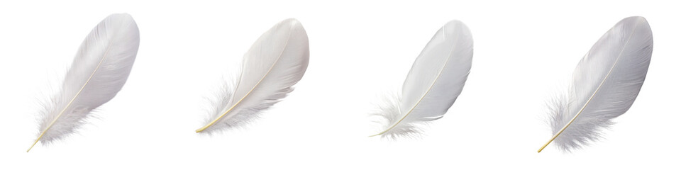Fototapeta premium Delicate white feather floating in the air with gentle movement