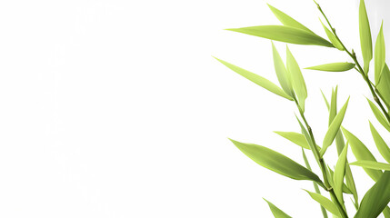 Obraz premium Bright Green Bamboo Stalks Against a White Background