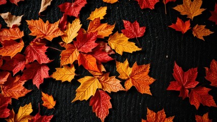 Fototapeta premium A symphony of autumn leaves, in shades of red, orange, and yellow, dances upon a black backdrop, creating a vibrant and intricate composition.