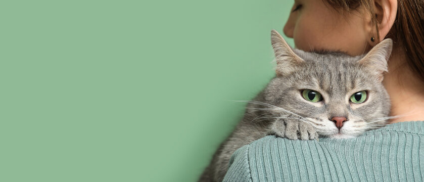Young pretty woman hugging her cute grey cat on green background, closeup