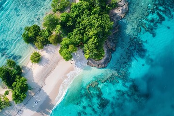 Clear turquoise waters embrace a pristine beach surrounded by lush trees, creating a serene tropical getaway. Top view