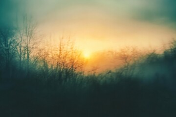 Obraz premium Misty Sunrise Through Winter Trees Silhouette