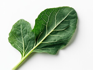 Obraz premium Intricate Green Veins of Vibrant Kale Leaves: A Showcase of Rich Texture and Freshness